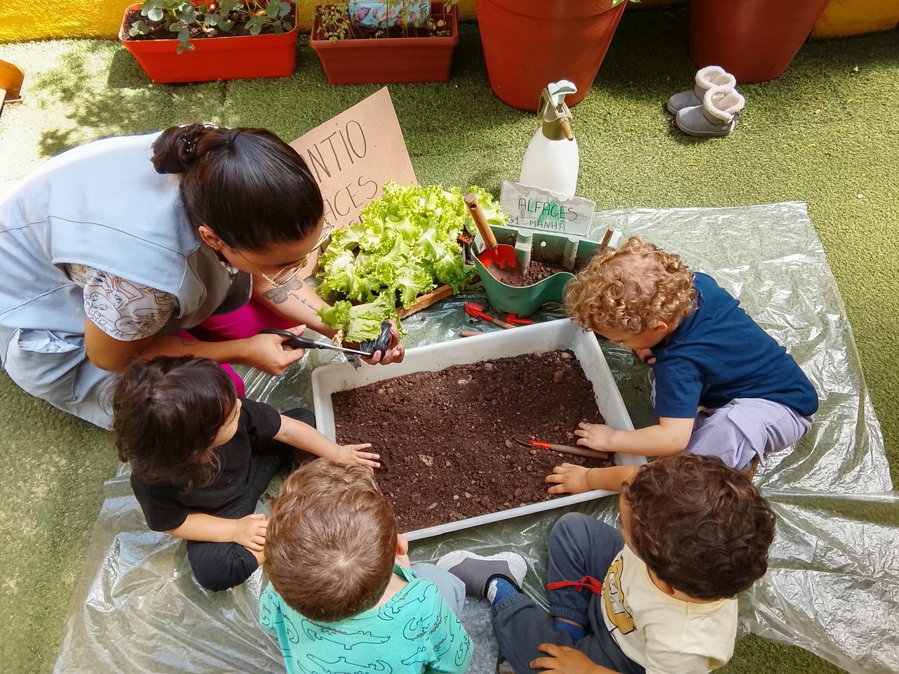 Crianças plantando na horta